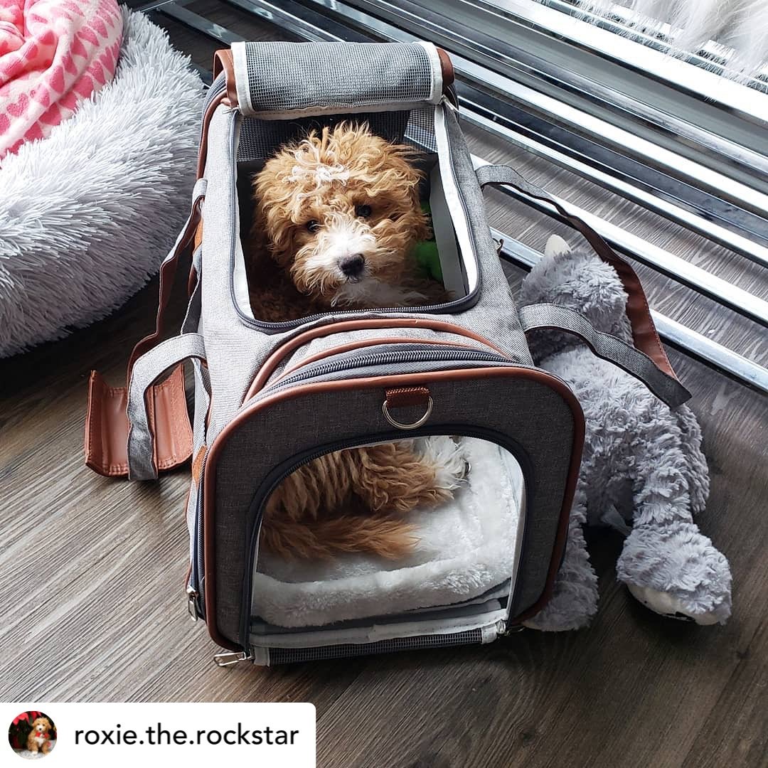 Airline Approved Expandable Pet Carrier with Safety & Comfort
