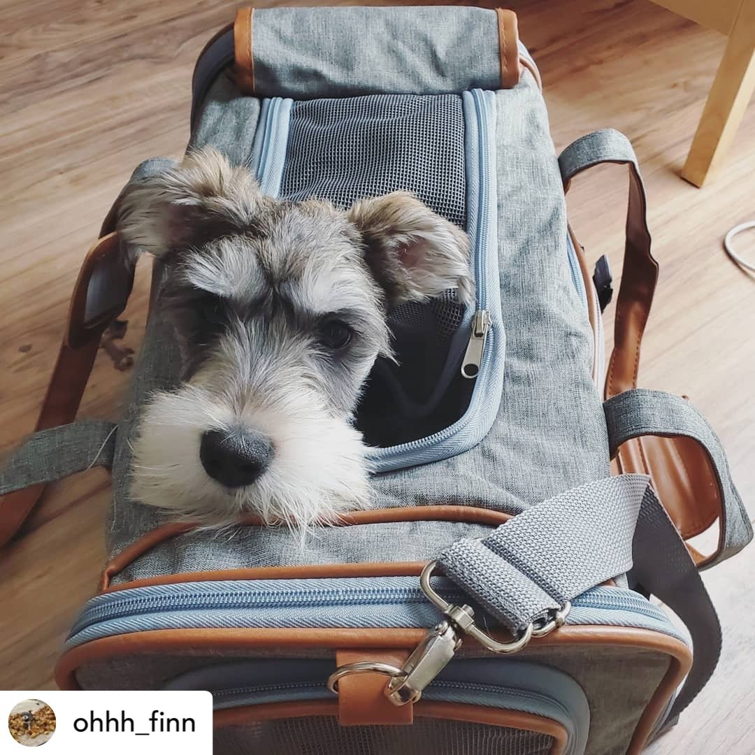 Airline Approved Expandable Pet Carrier with Safety & Comfort