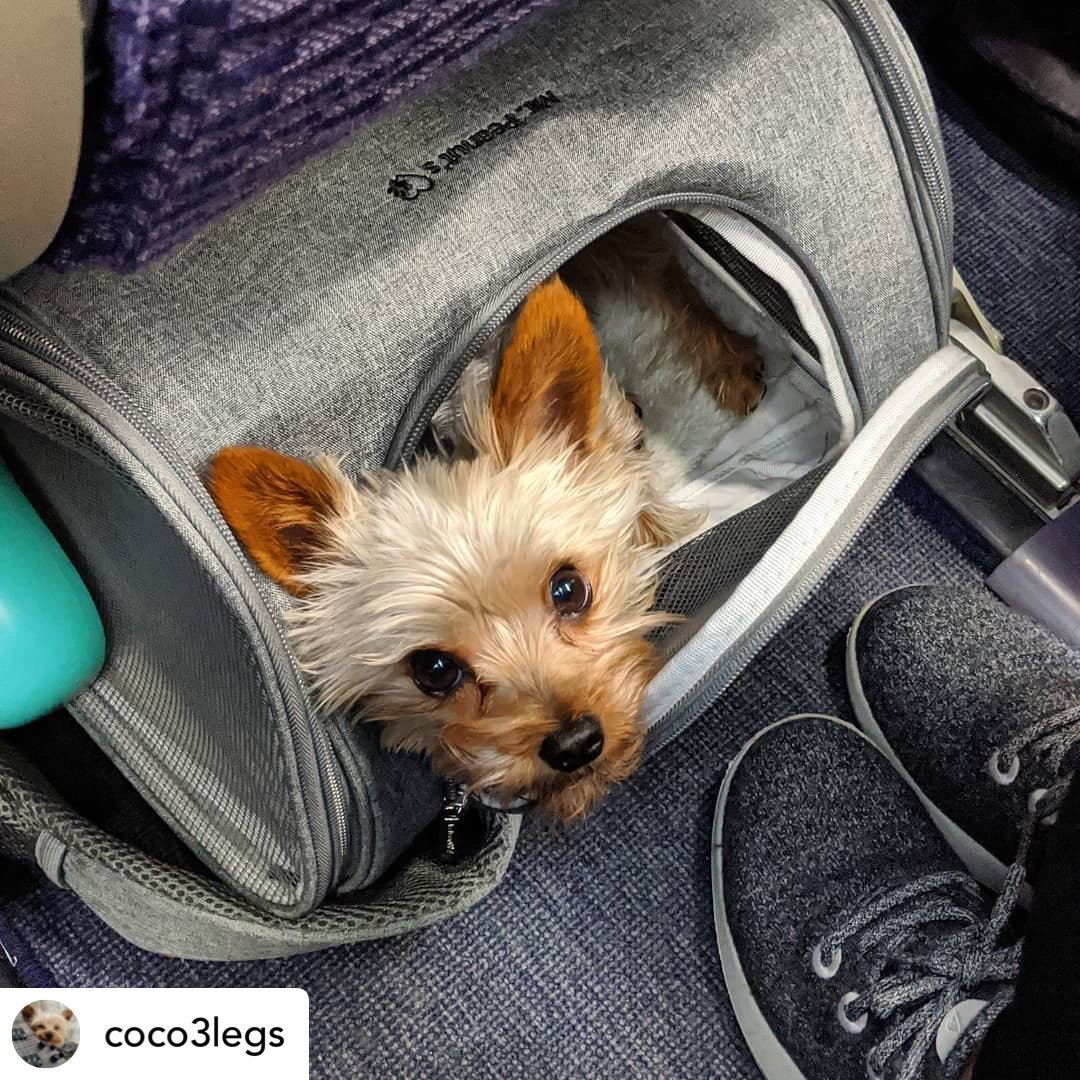 Airline Approved Expandable Pet Carrier with Safety & Comfort