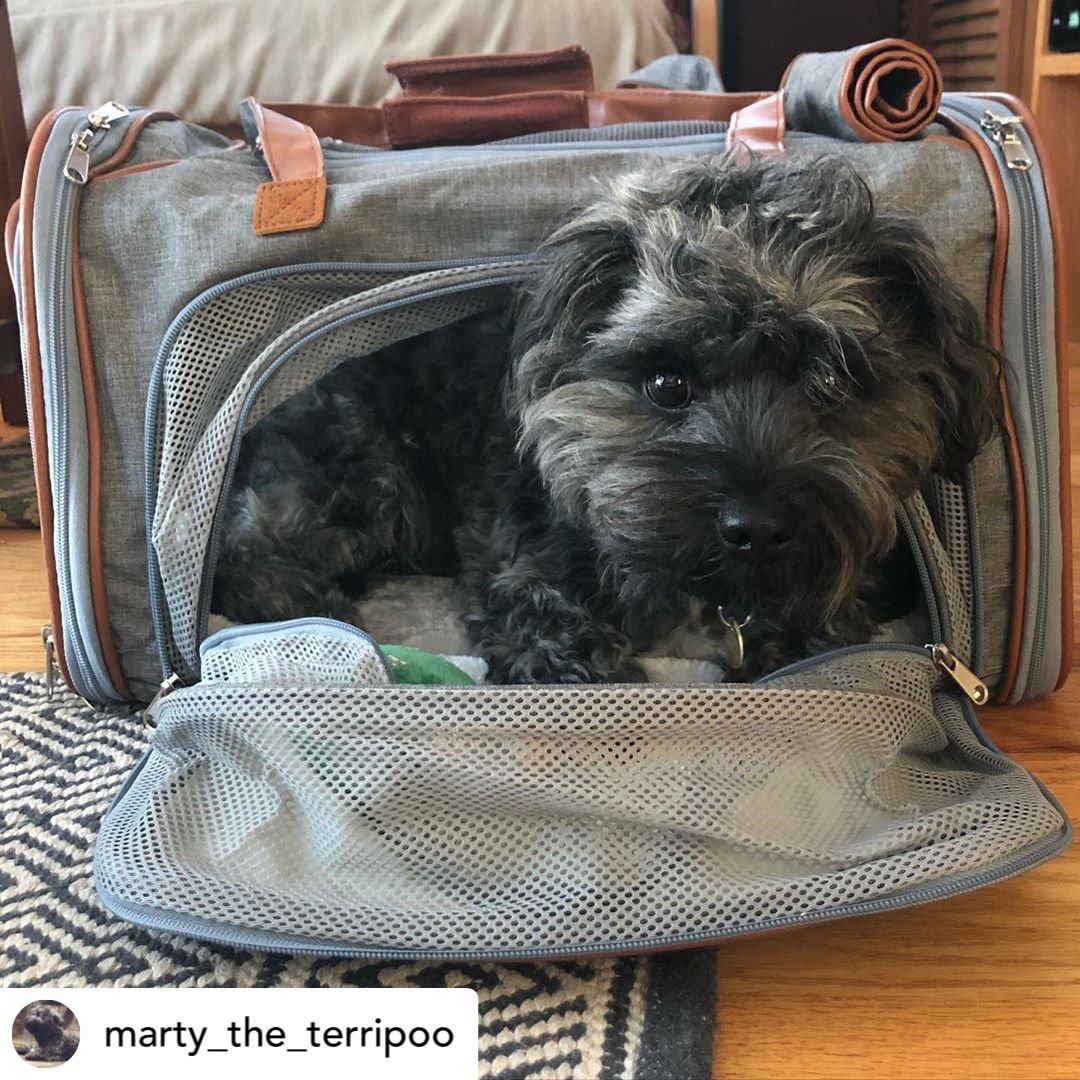 Airline Approved Expandable Pet Carrier with Safety & Comfort