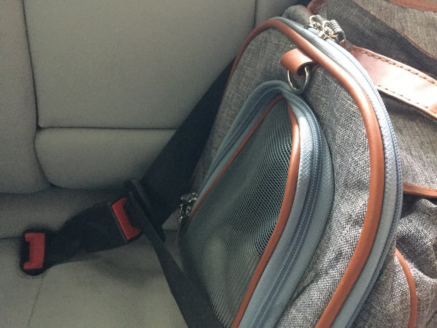 Airline Approved Expandable Pet Carrier with Safety & Comfort