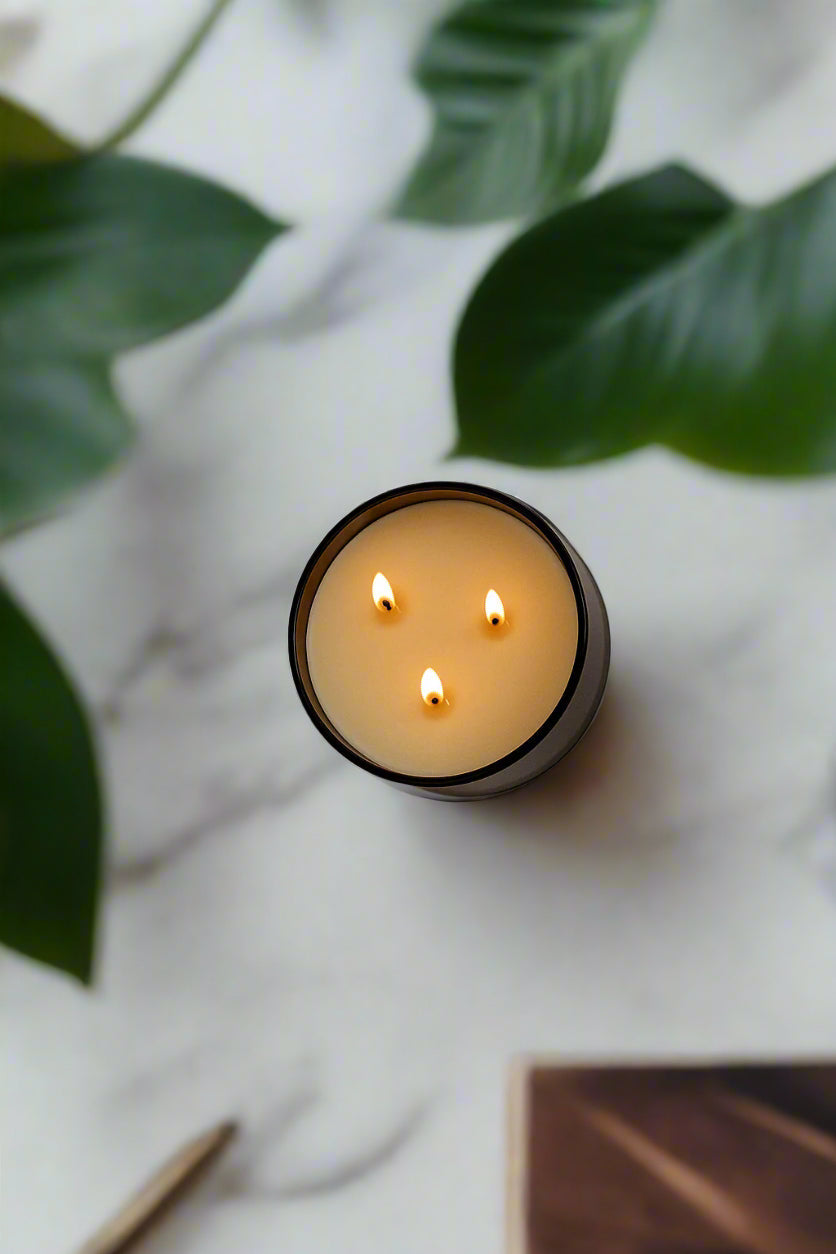 Lavender + Cedar Signature 3-Wick Candle