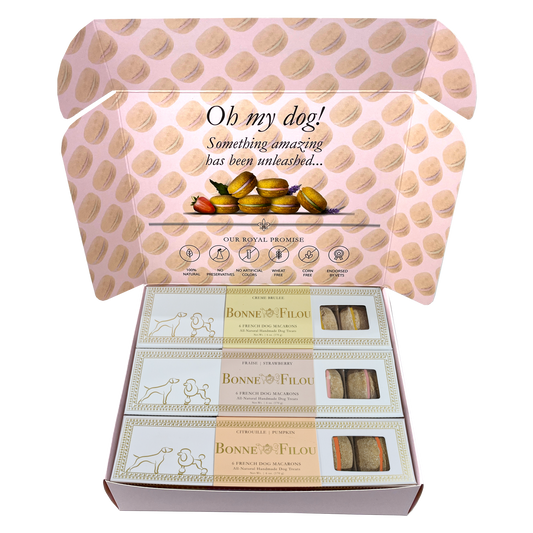 Dog Macaron Combo Gift Box (18 French Dog Macarons)