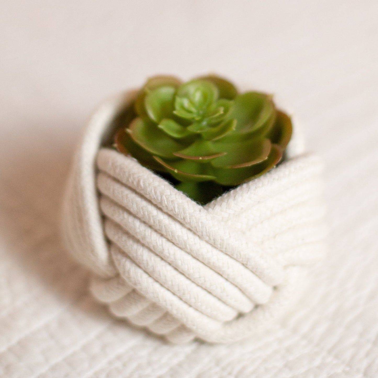 Mini Unbound Planter — White Cotton Rope