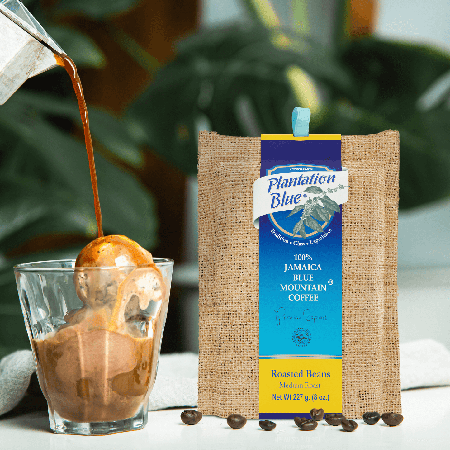 8oz Authentic Jamaica Blue Mountain Coffee Beans — Gourmet Gift Bag