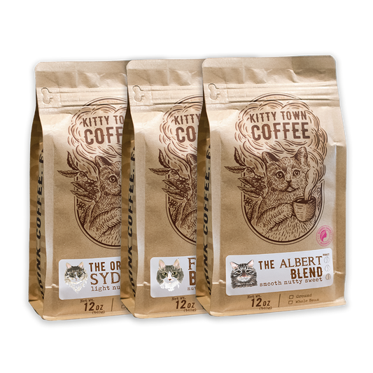 3-Bag Coffee Sampler — Albert, Fezzik & Sydney 12oz Trio