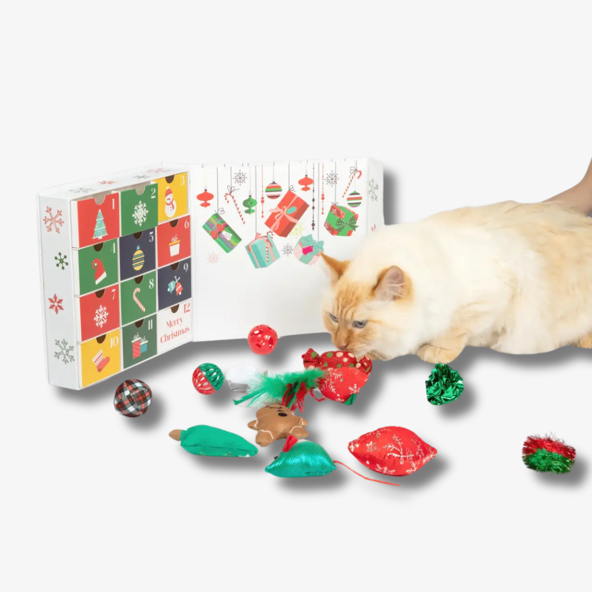 12-Day Filled Christmas Advent Calendar For Cats