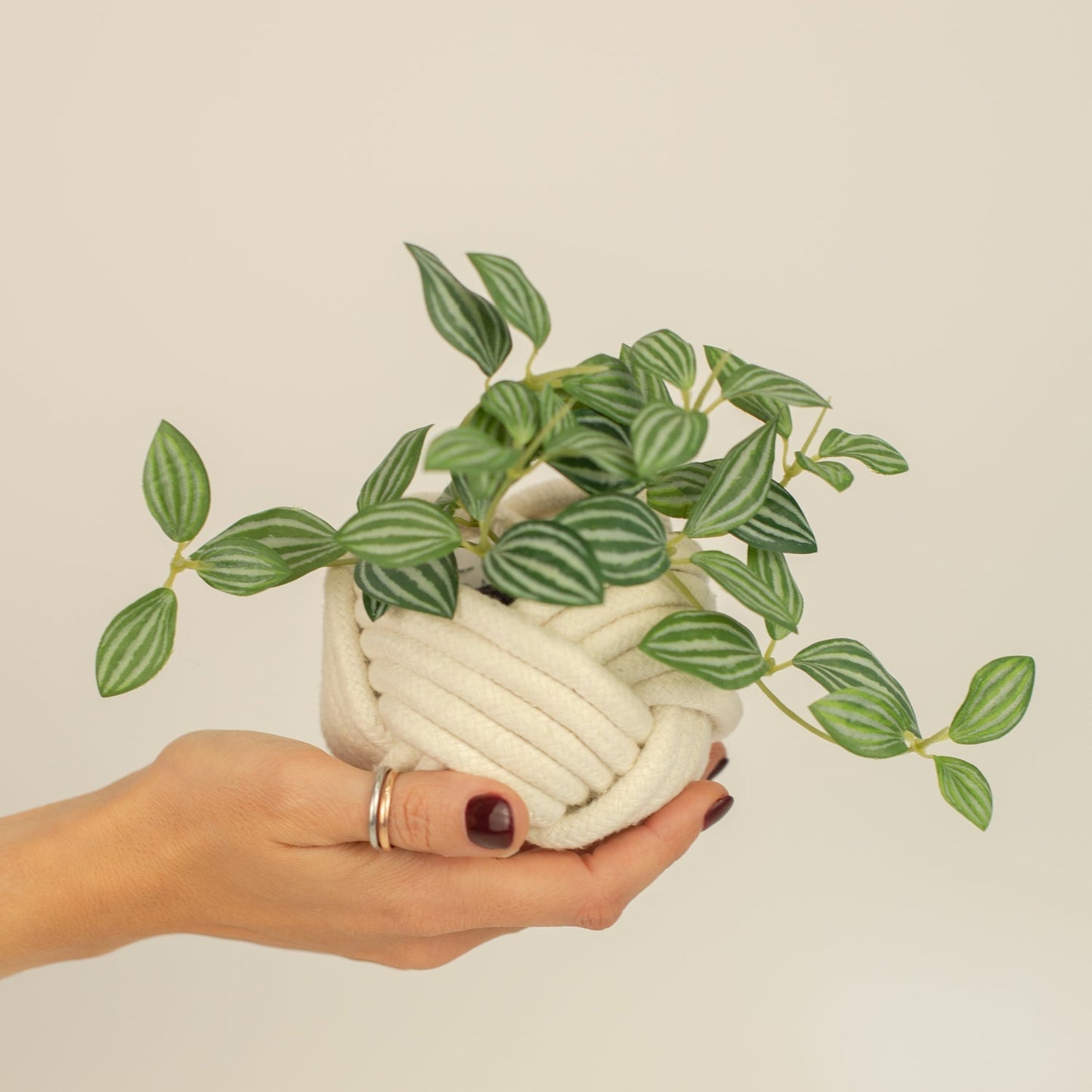 Mini Unbound Planter — White Cotton Rope