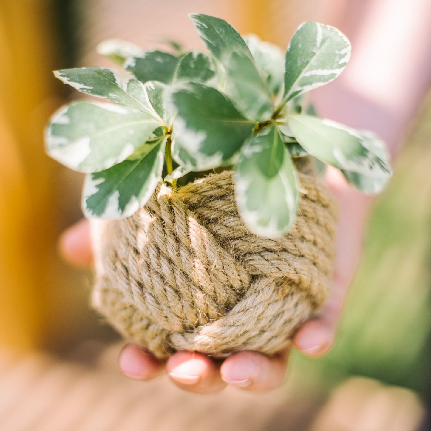 Mini Unbound Planter — Jute Rope