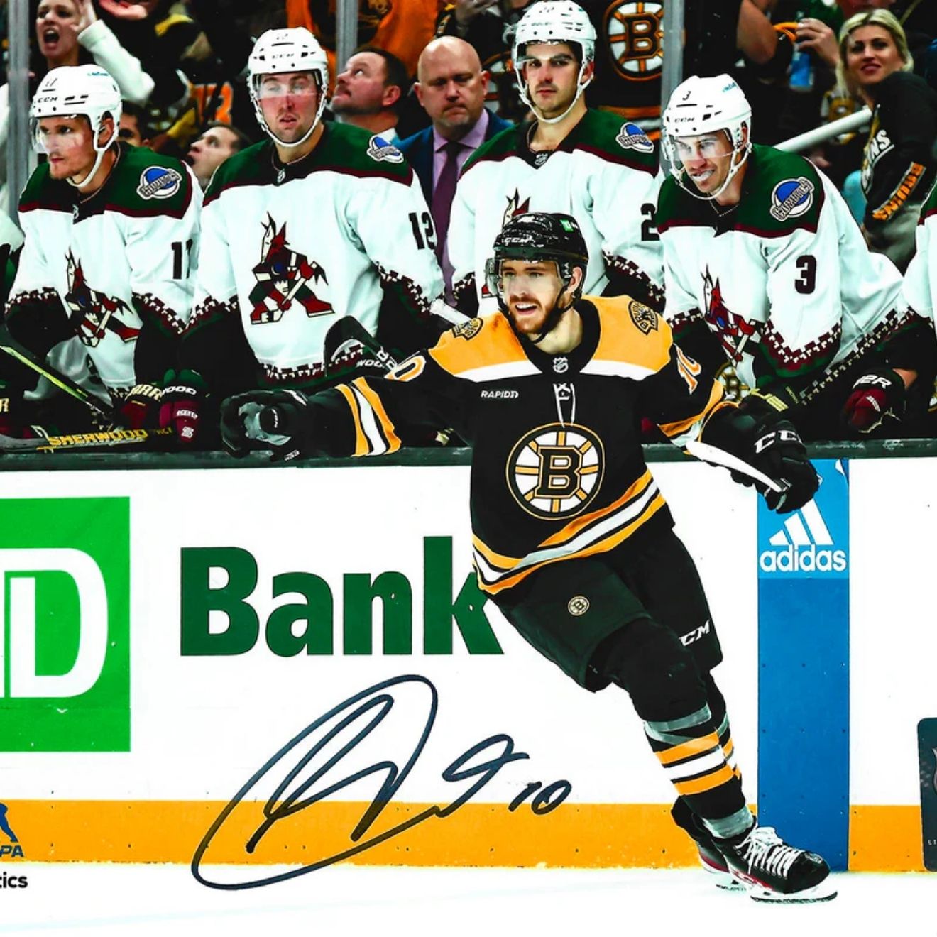 AJ Greer Boston Bruins Celebration Autographed 8x10 Hockey Photo