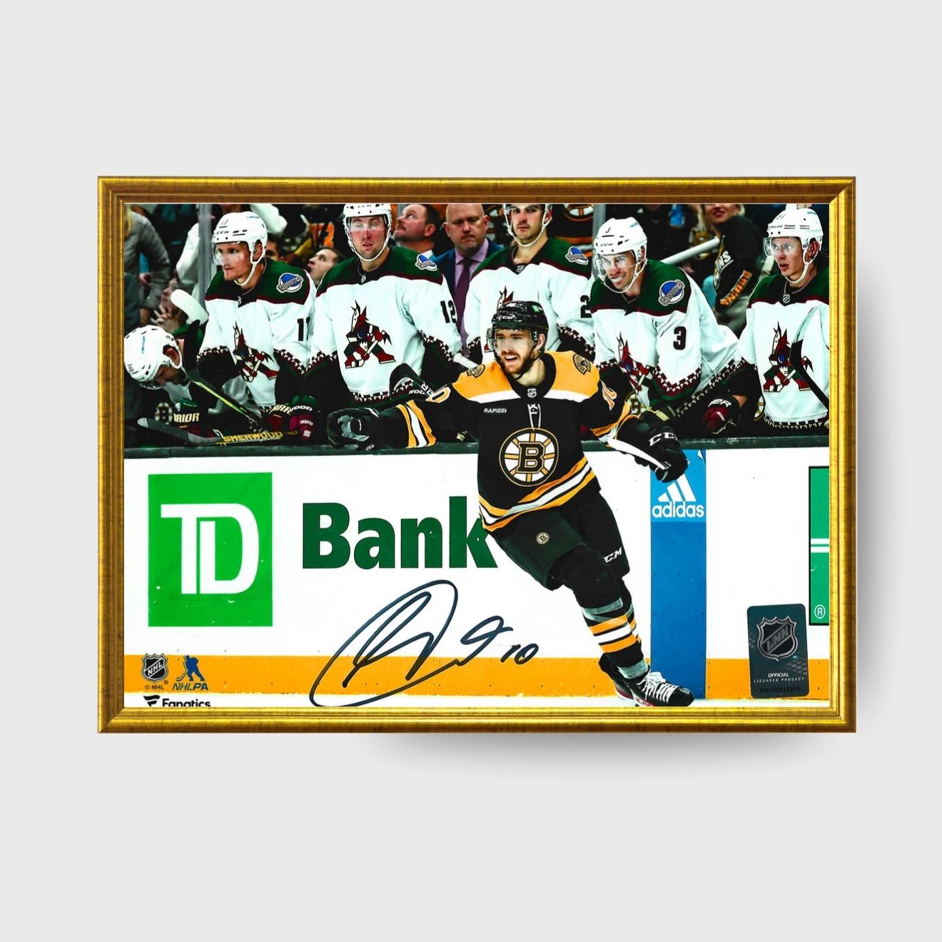 AJ Greer Boston Bruins Celebration Autographed 8x10 Hockey Photo