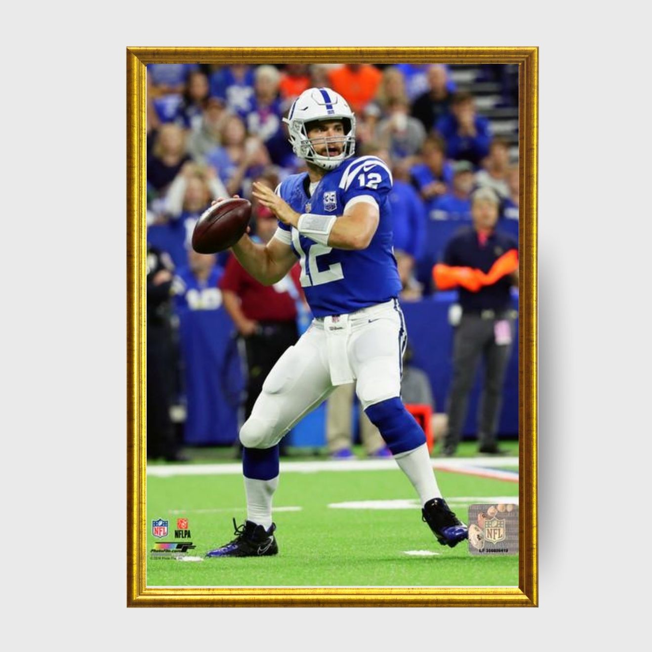 Andrew Luck Indianapolis Colts 8" x 10" Football Photo