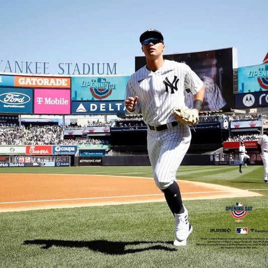 Anthony Volpe Yankees 8" x 10" Baseball Photo – Officially Licensed