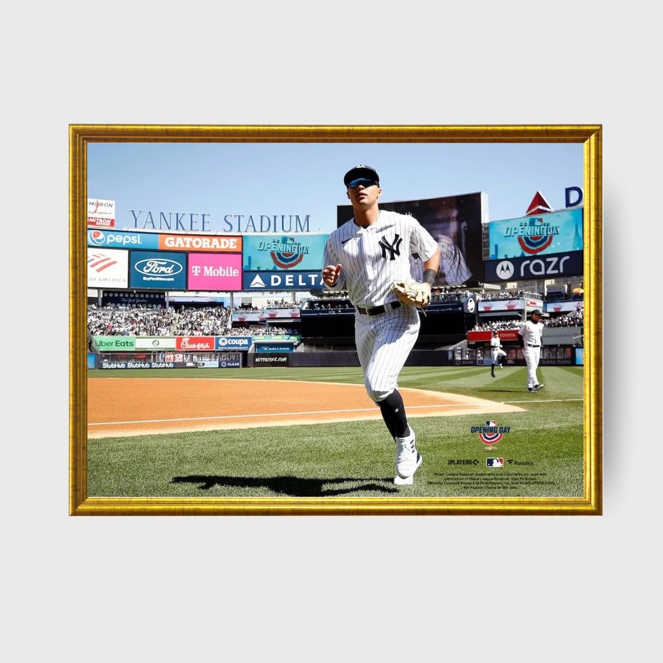 Anthony Volpe Yankees 8" x 10" Baseball Photo – Officially Licensed