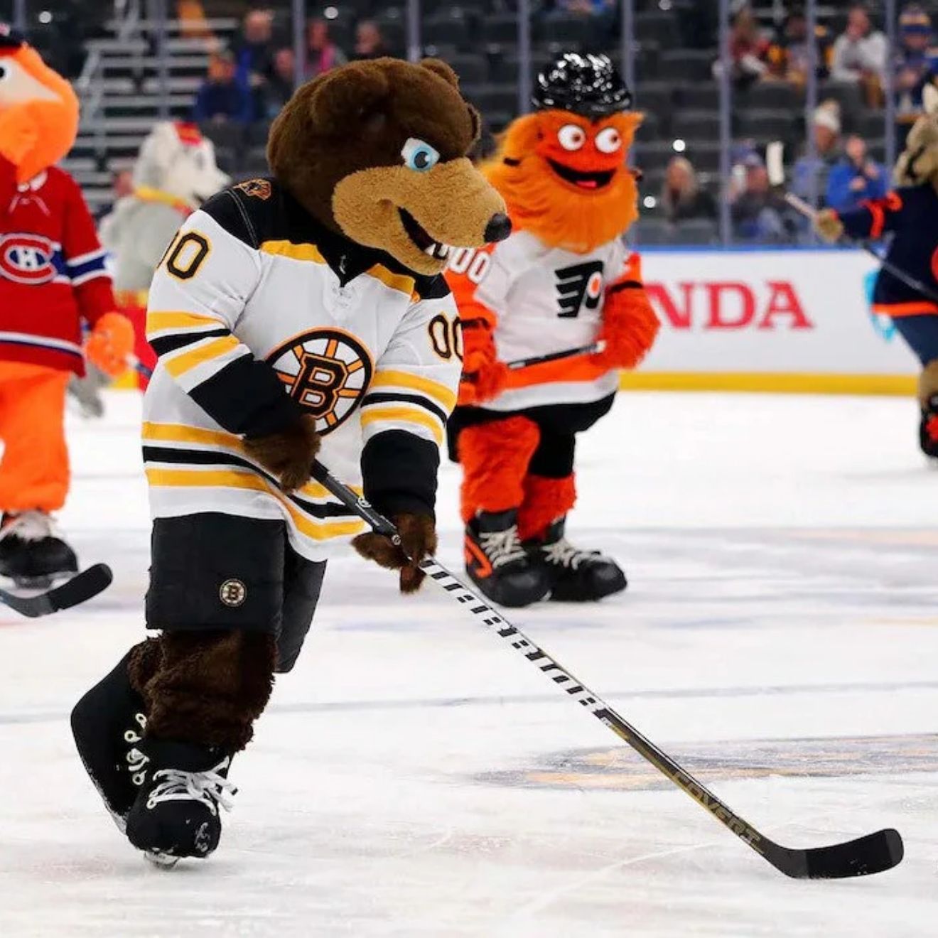 Blades Boston Bruins Mascot 8x10 Skating Photo Collectible