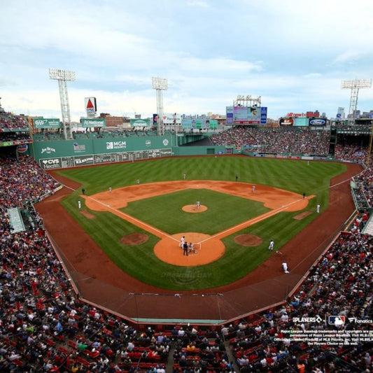Boston Red Sox Fenway Park 8" x 10" Photo - Officially Licensed