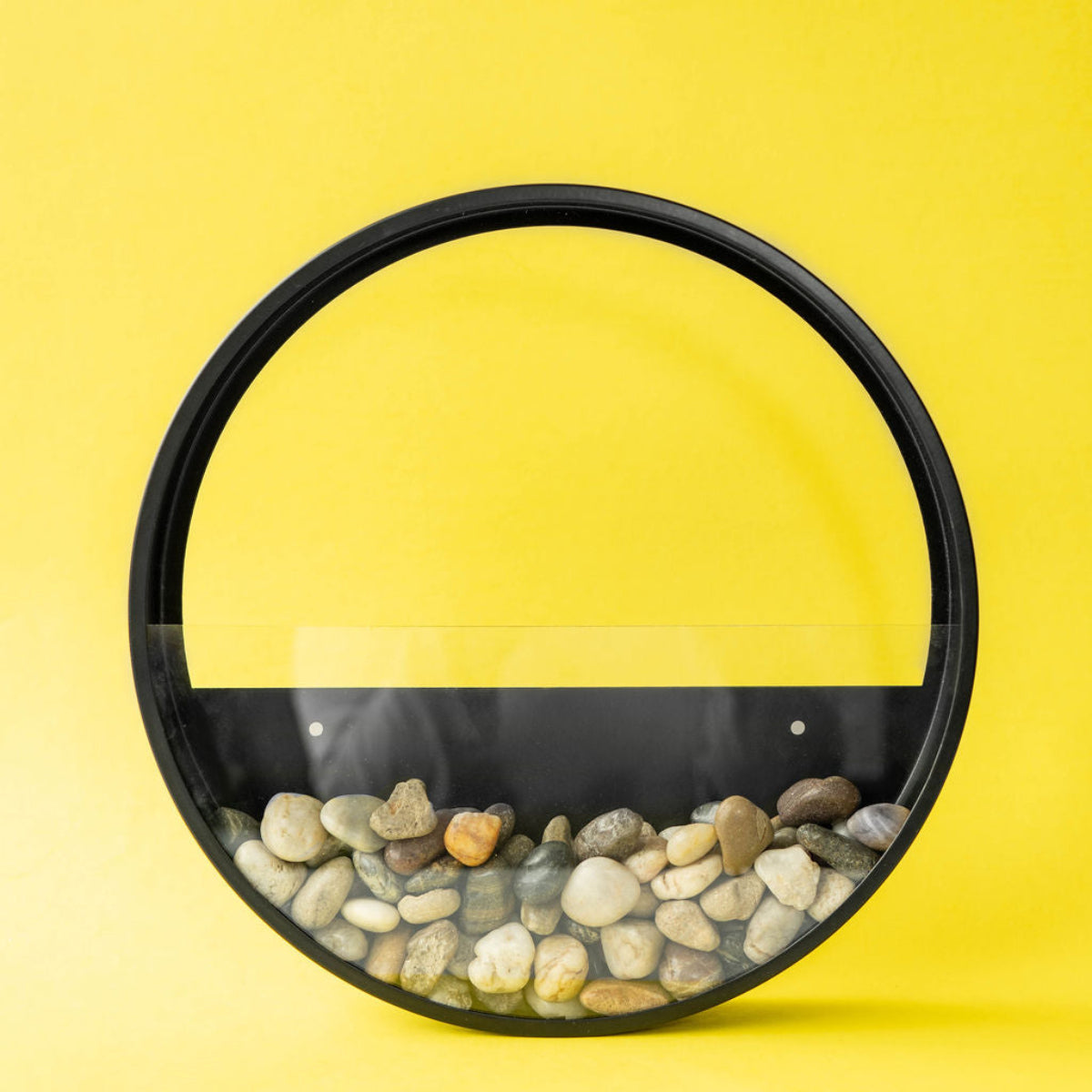 Wall Terrarium Craft Kit for Modern Greenery and Home Decor Gift Sets!