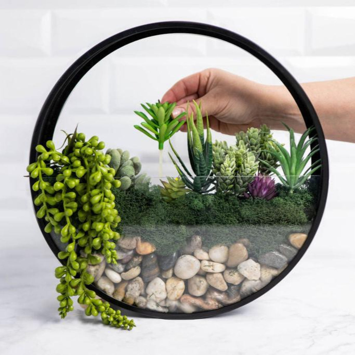 Wall Terrarium Craft Kit for Modern Greenery and Home Decor Gift Sets!
