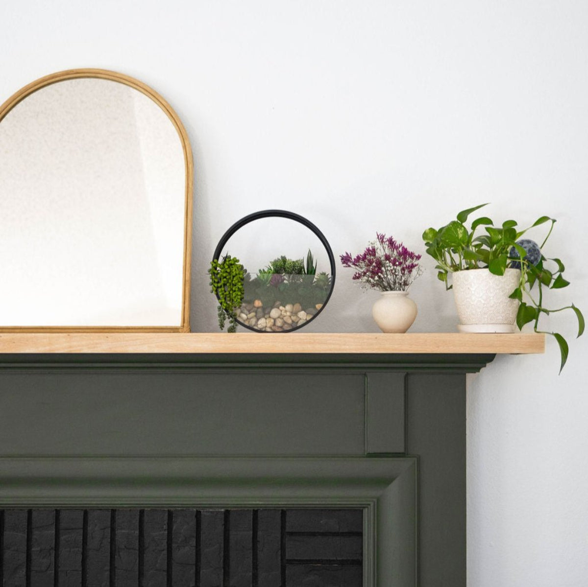 Wall Terrarium Craft Kit for Modern Greenery and Home Decor Gift Sets!