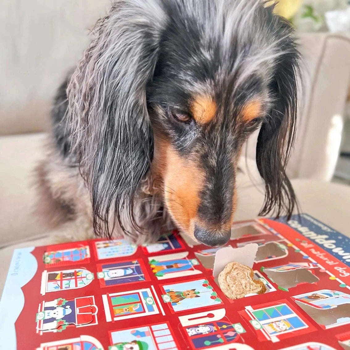 Advent Calendar - 25 Days of Dog Treats