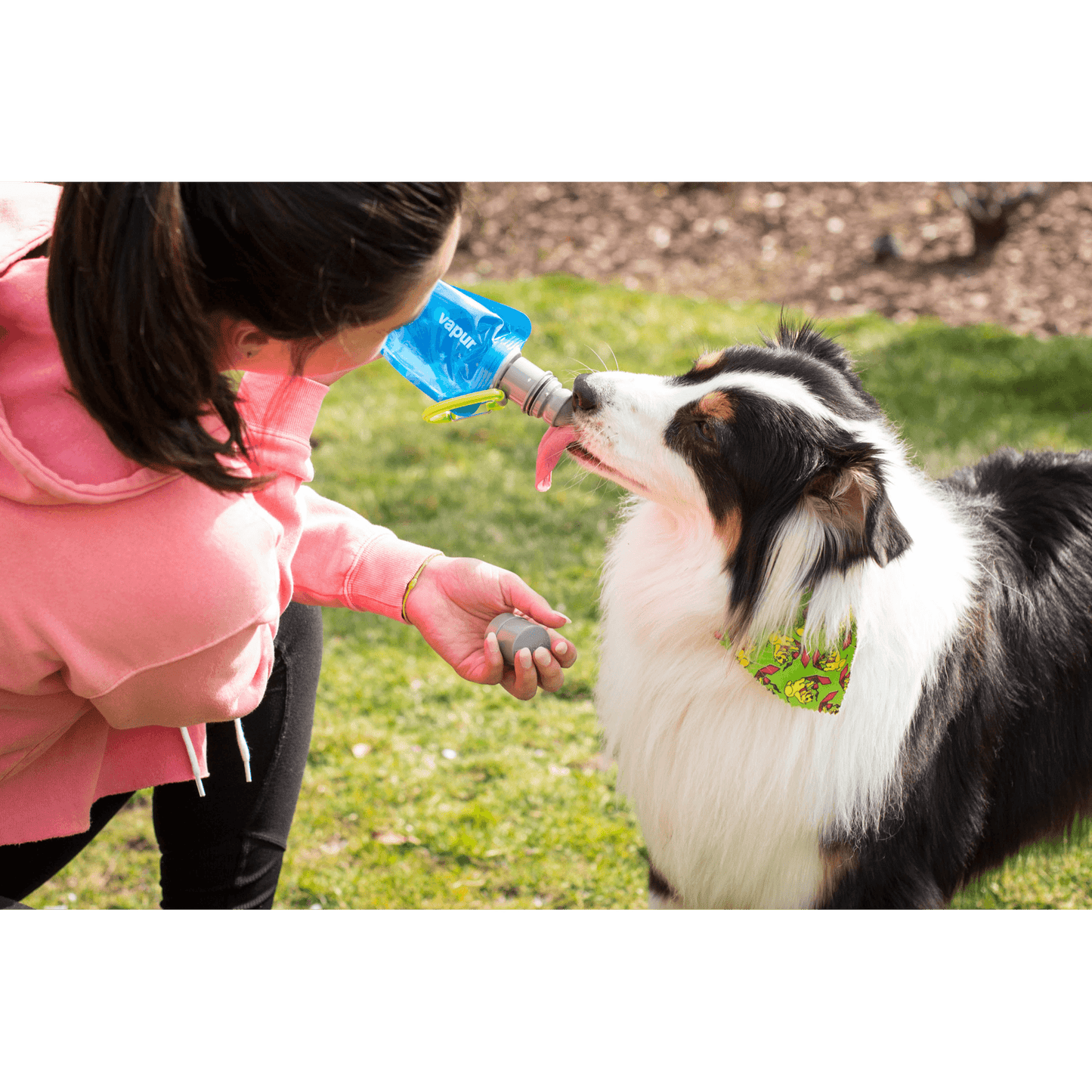 Vapur EZ-Lick Portable Dog Water Bottle — 23oz Foldable Hydrator