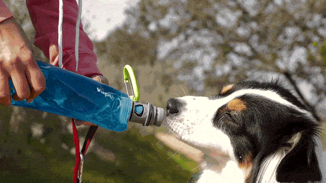 Vapur EZ-Lick Portable Dog Water Bottle — 23oz Foldable Hydrator