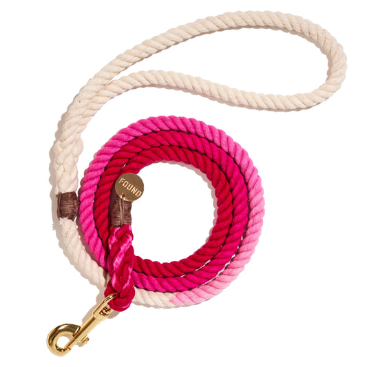 Magenta Ombre Cotton Rope Dog Leash Standard 5ft Brass Carabiner Locks