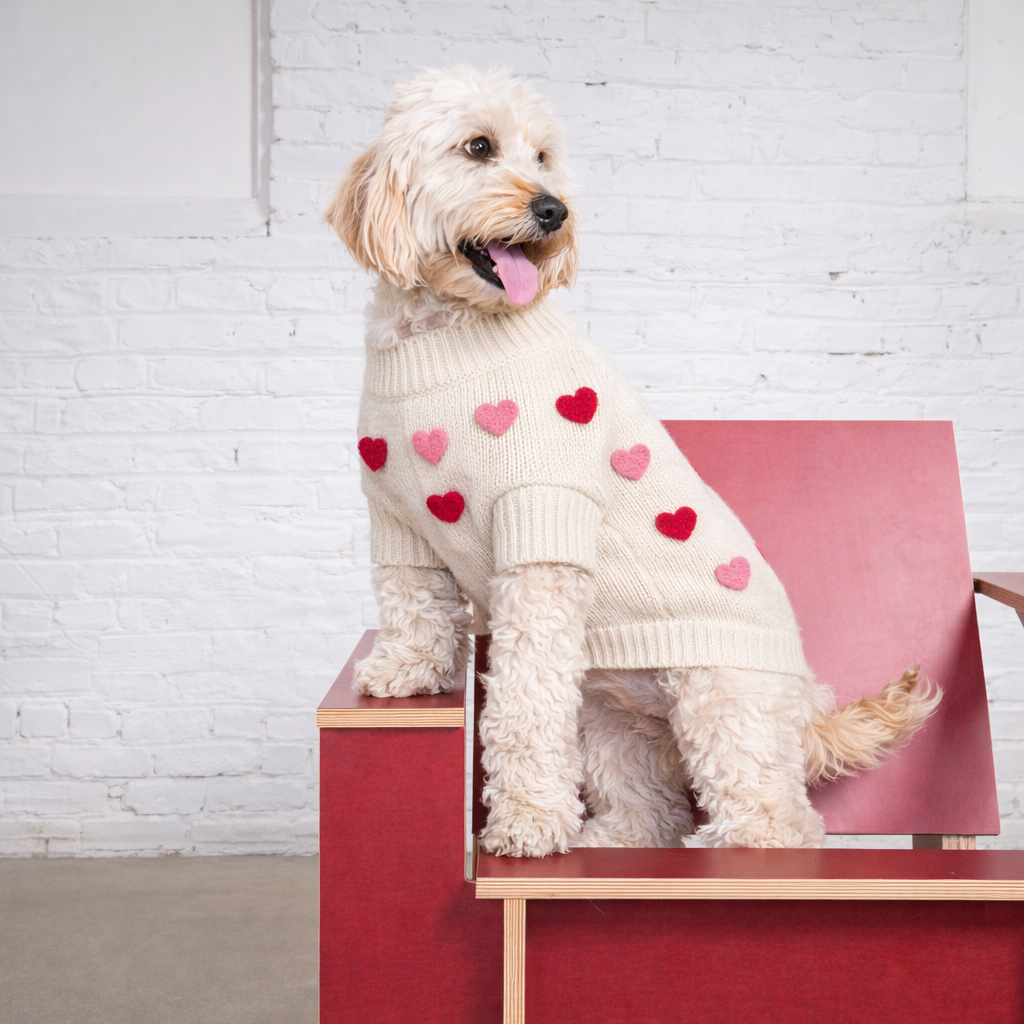 Found My Animal Heart 3D Icon Dog Sweater Cozy Knit