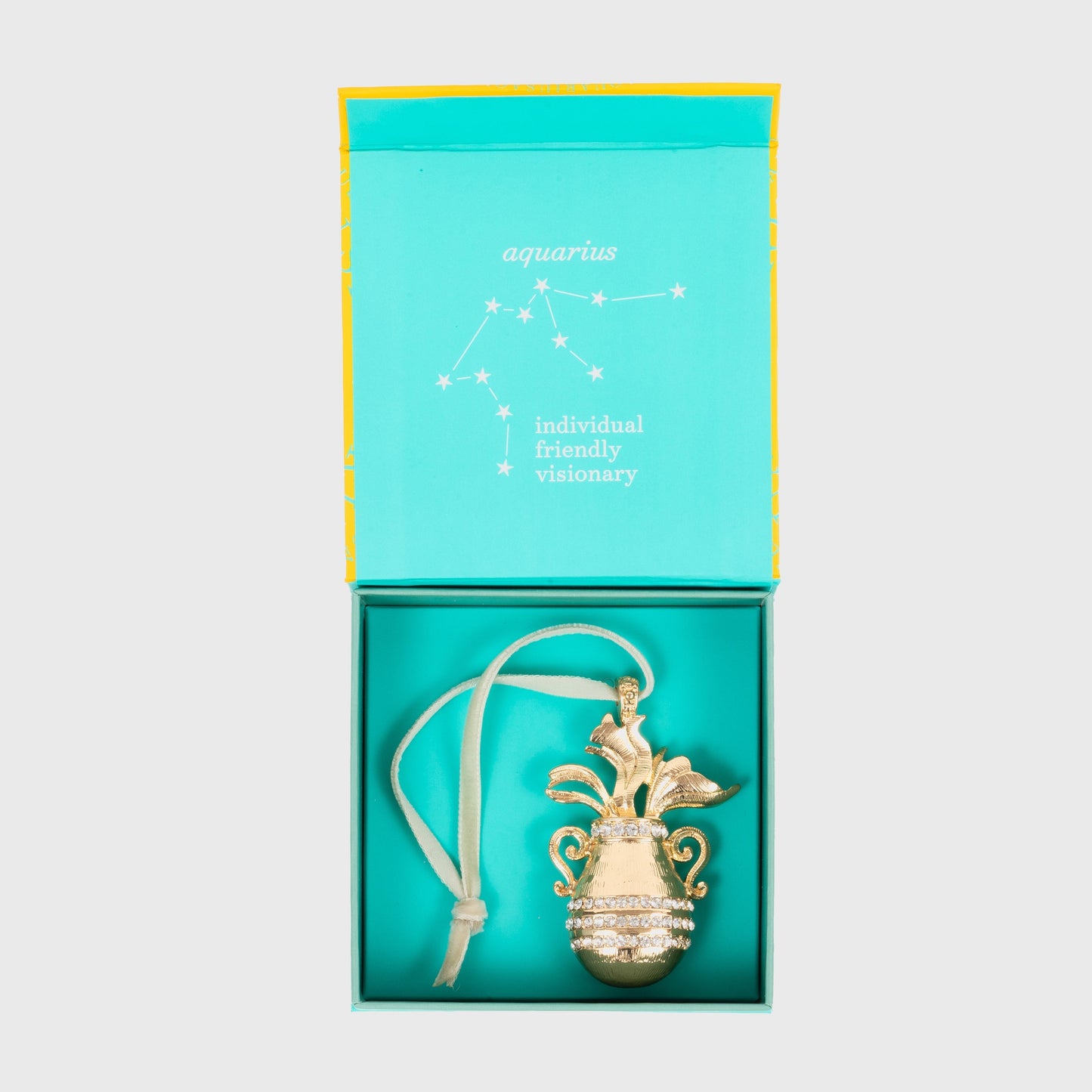 Aquarius hanging ornament