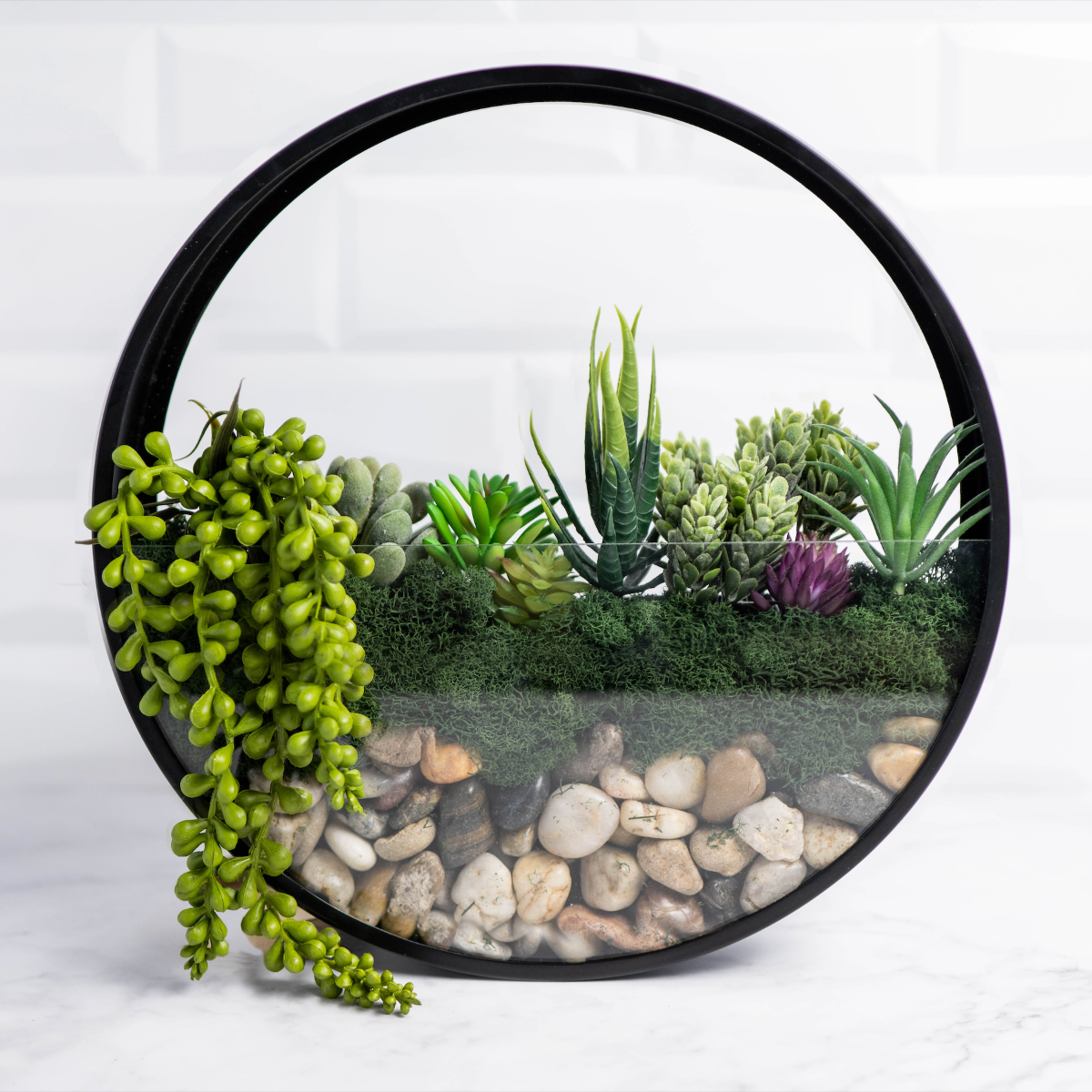 Wall Terrarium Craft Kit for Modern Greenery and Home Decor Gift Sets!