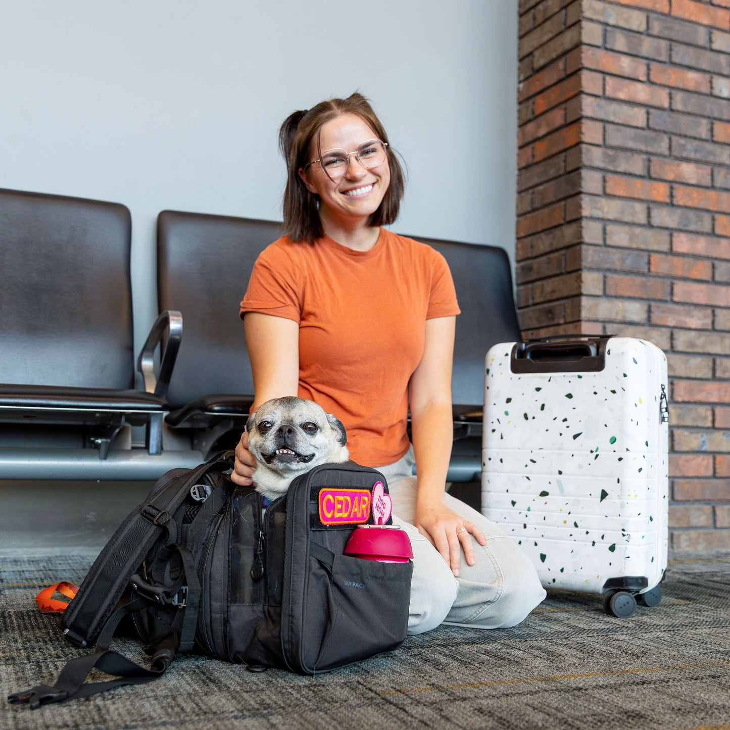 Sky Pack Convertible Dog Backpack & Pet Carrier — Airline-Approved