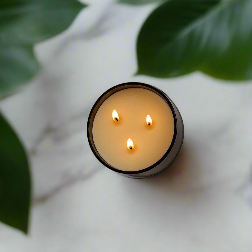 Rosemary + Lemon Signature 3‑Wick Candle