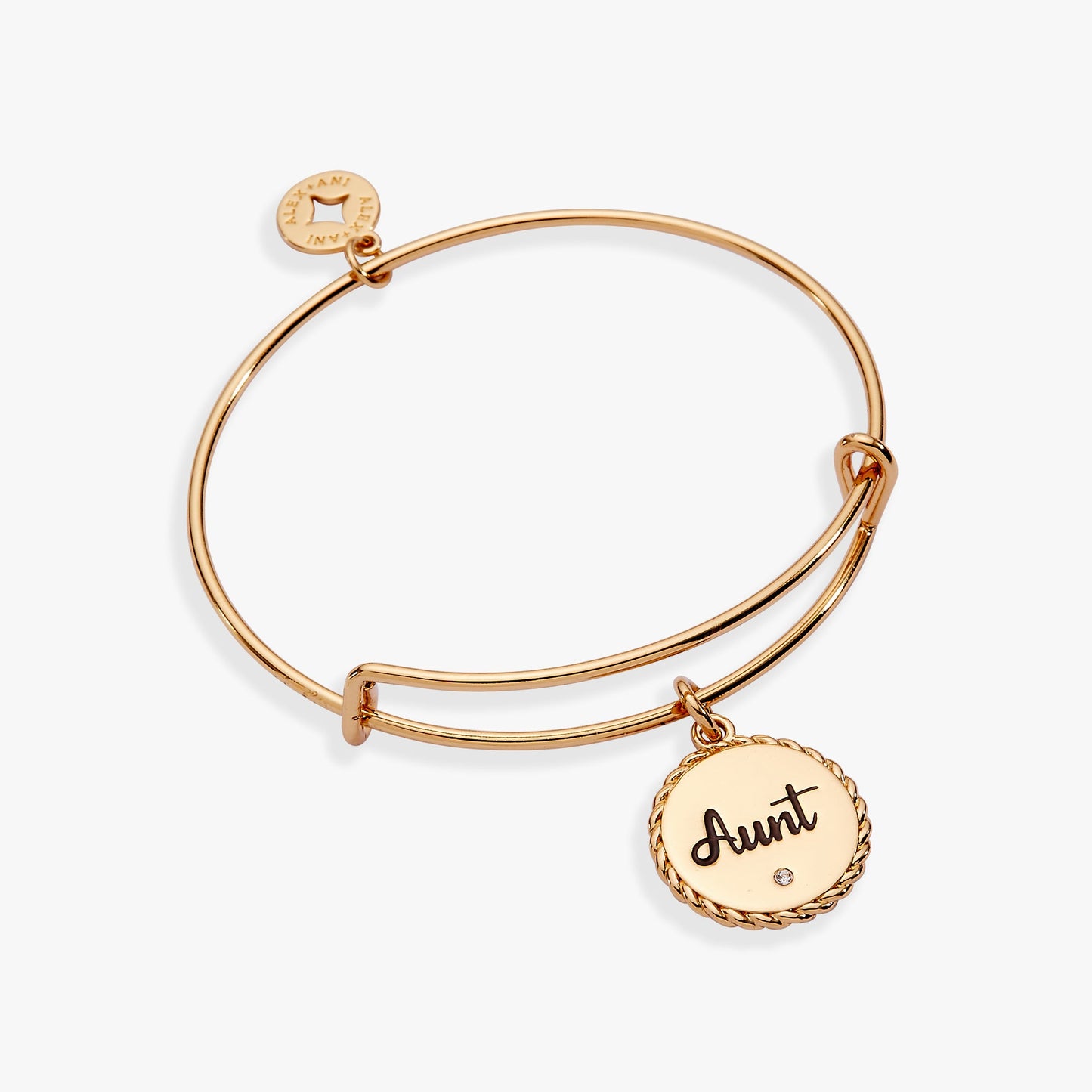 Aunt A Trusting Guide Charm Bangle Bracelet Meaningful Gift