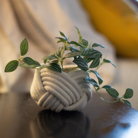 Mini Unbound Planter — White Cotton Rope