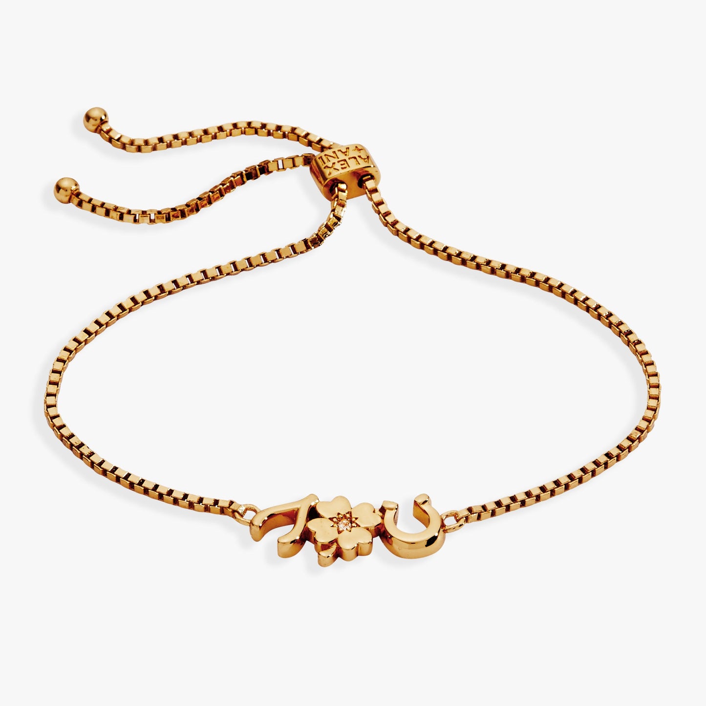 Lucky Symbol Bolo Bracelet Wishbone Clover Horseshoe Gift