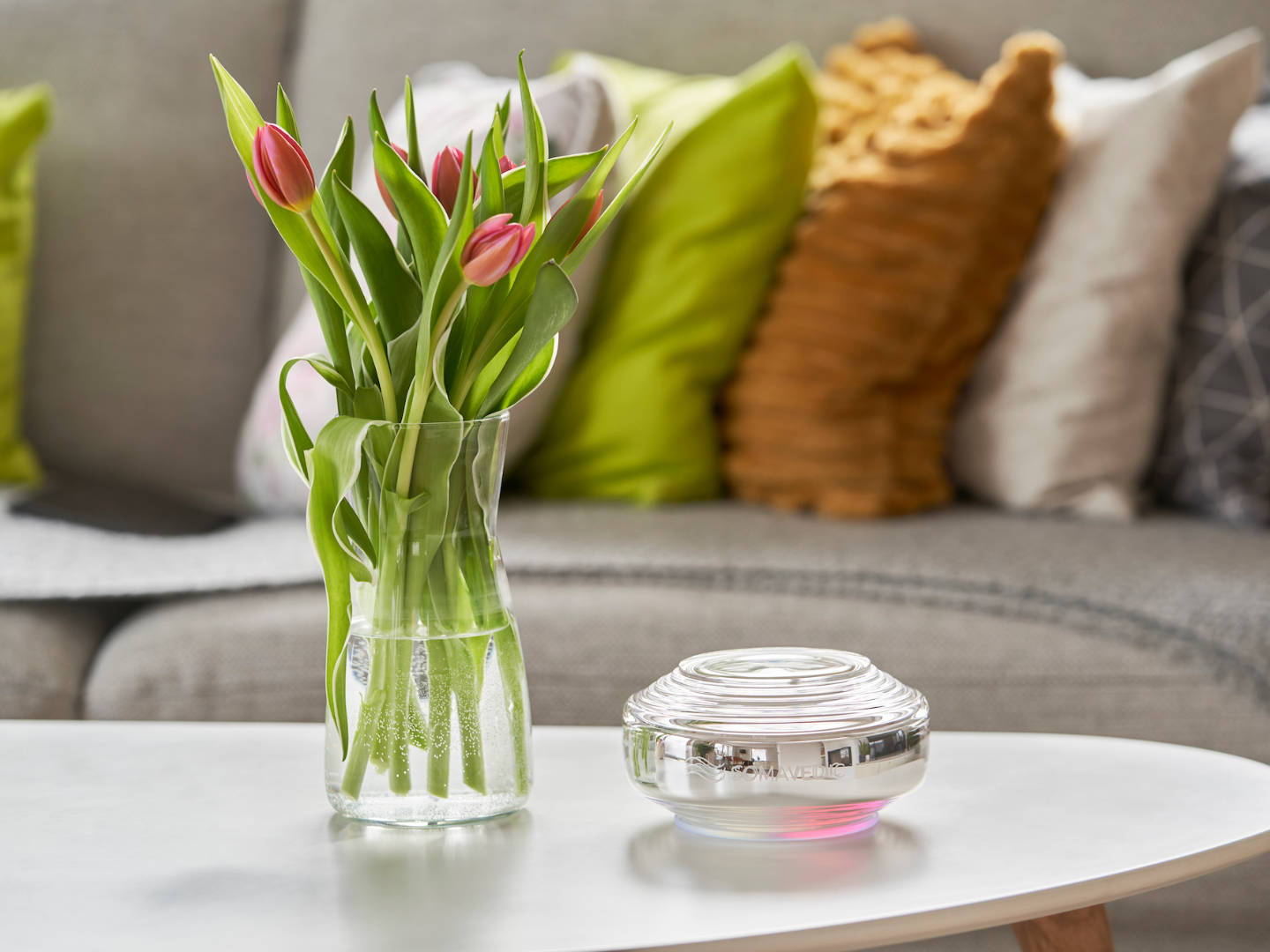 Sky Somavedic Harmonizer — Urban Calm & Environmental Neutralizer