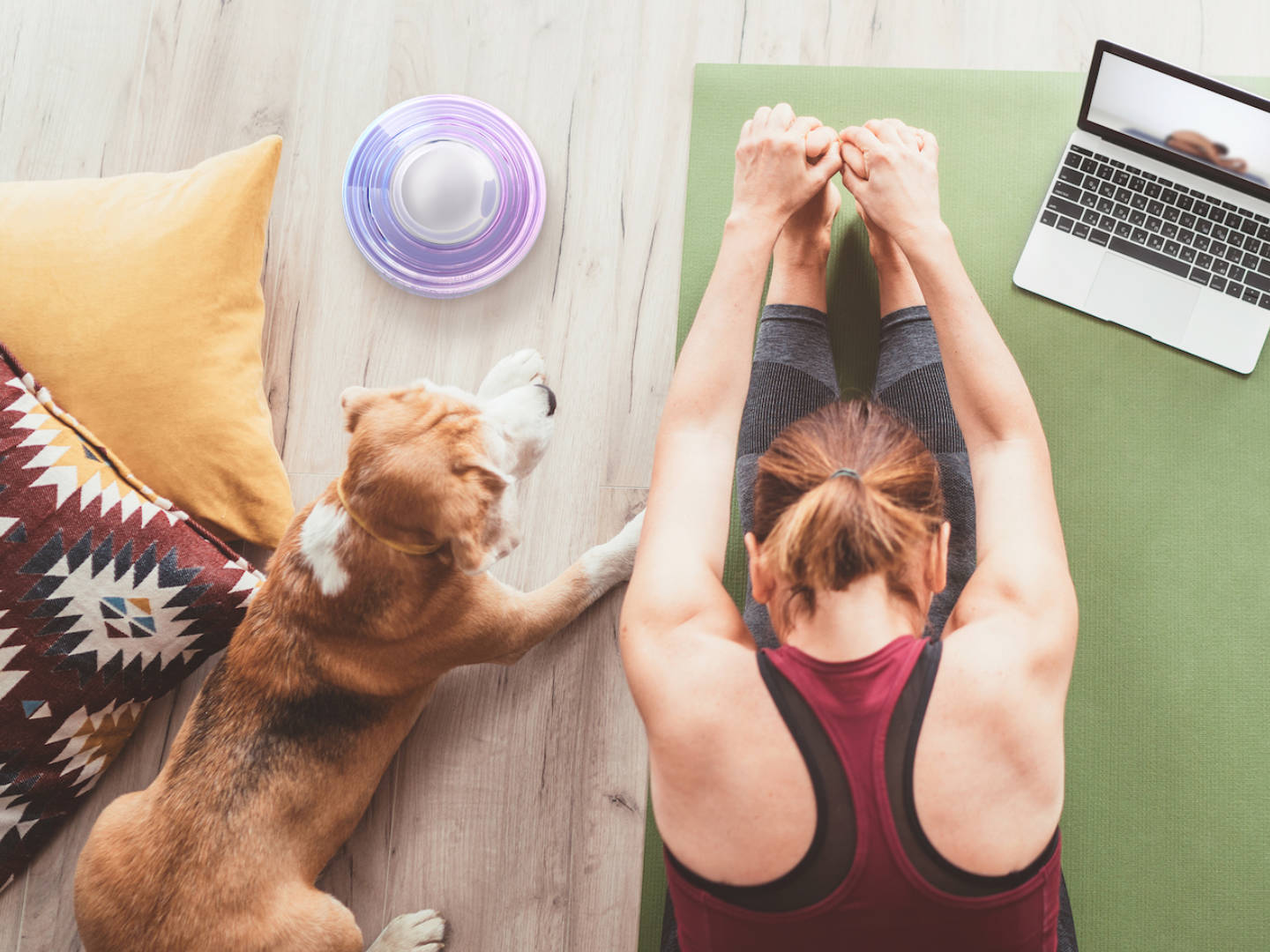 Sky Somavedic Harmonizer — Urban Calm & Environmental Neutralizer